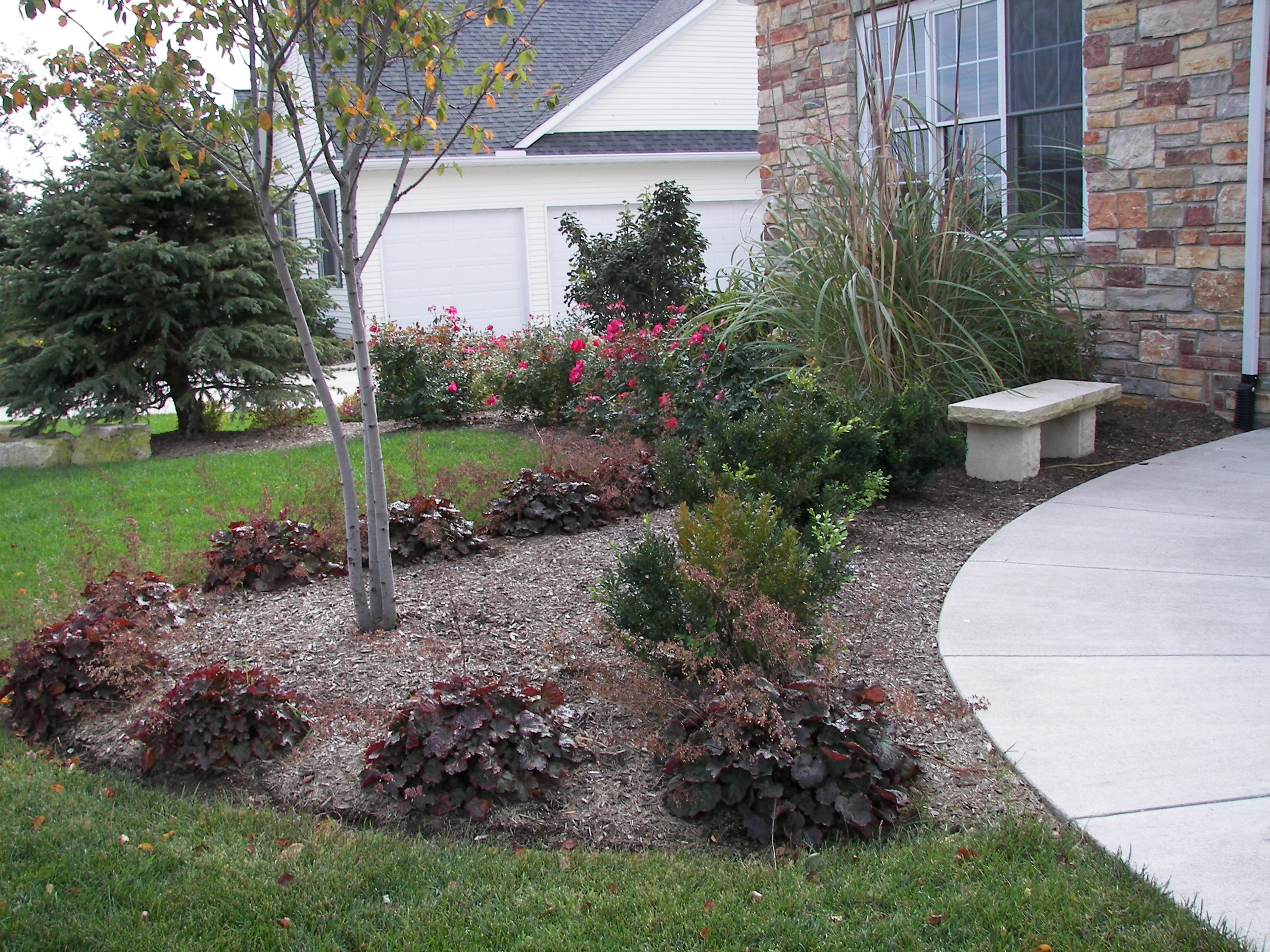 Care & Maintenance of Ornamental Grasses