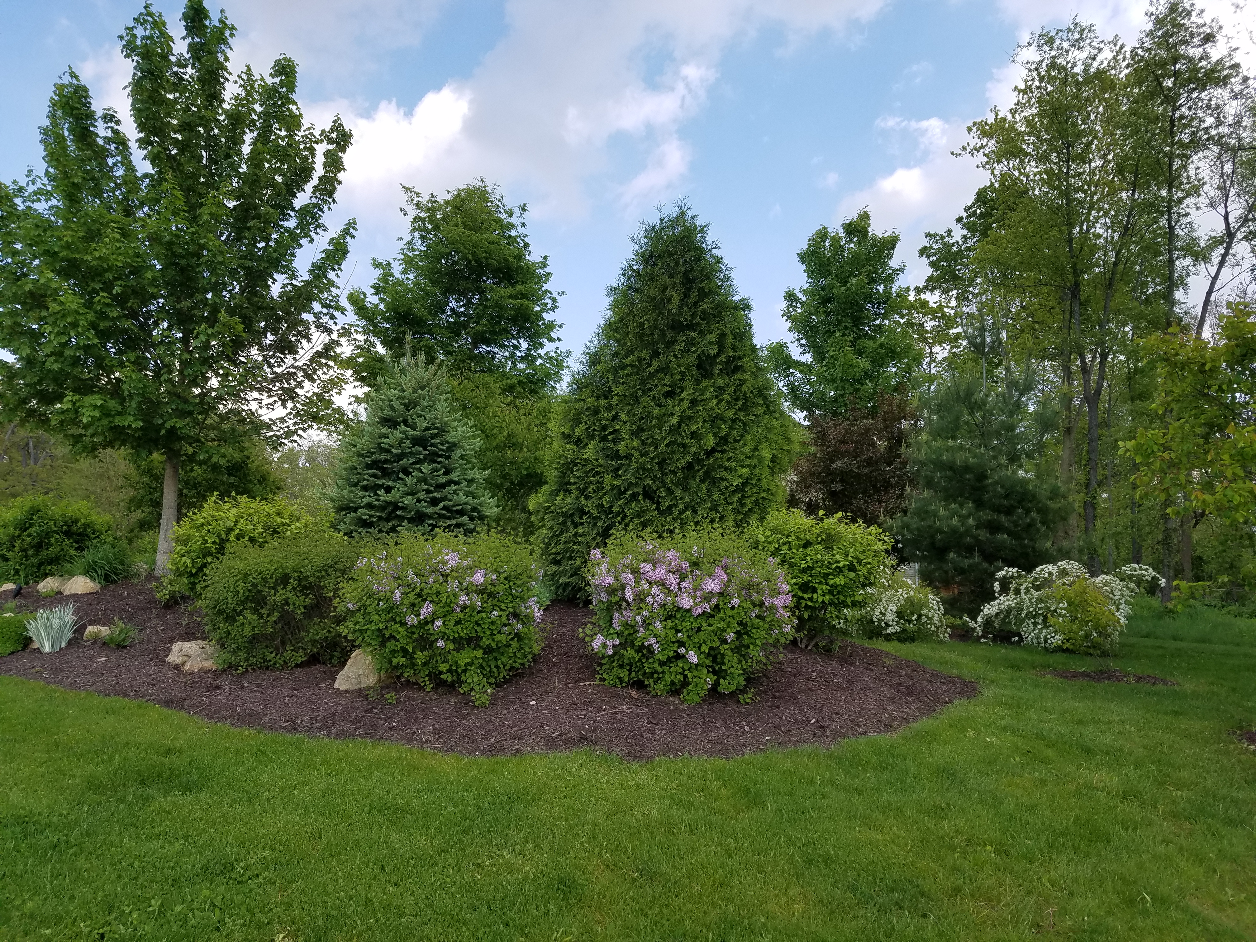 Landscape Care